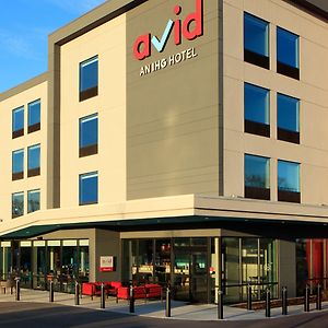 Avid Hotels - Boston Logan Airport - Revere, An Ihg Hotel